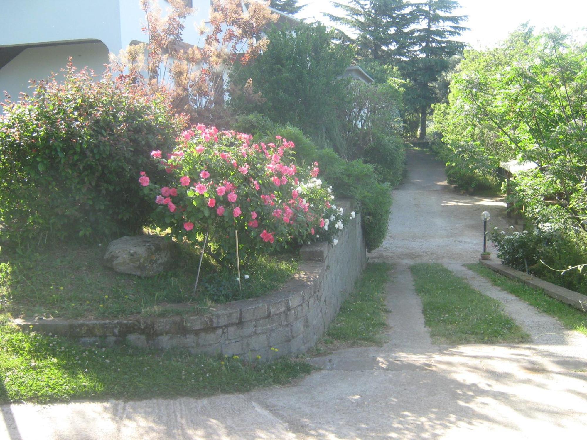 La Villa Di Lucia 维泰博 外观 照片