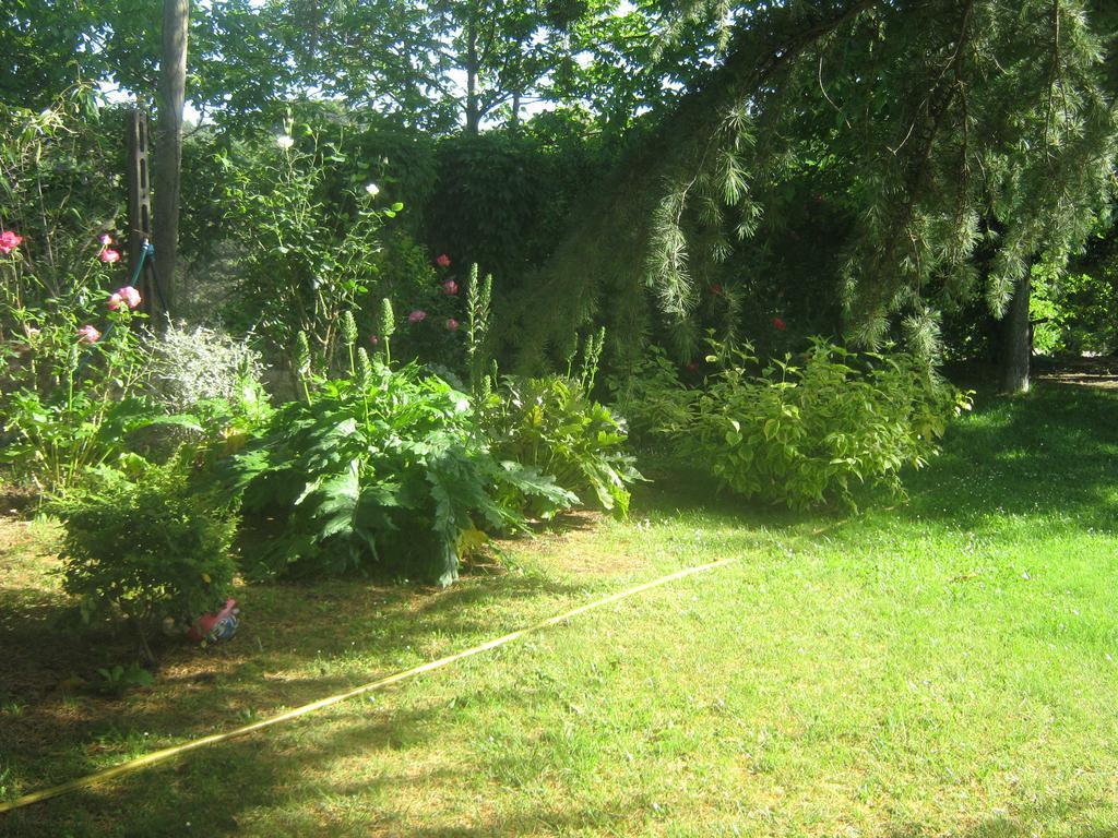 La Villa Di Lucia 维泰博 外观 照片